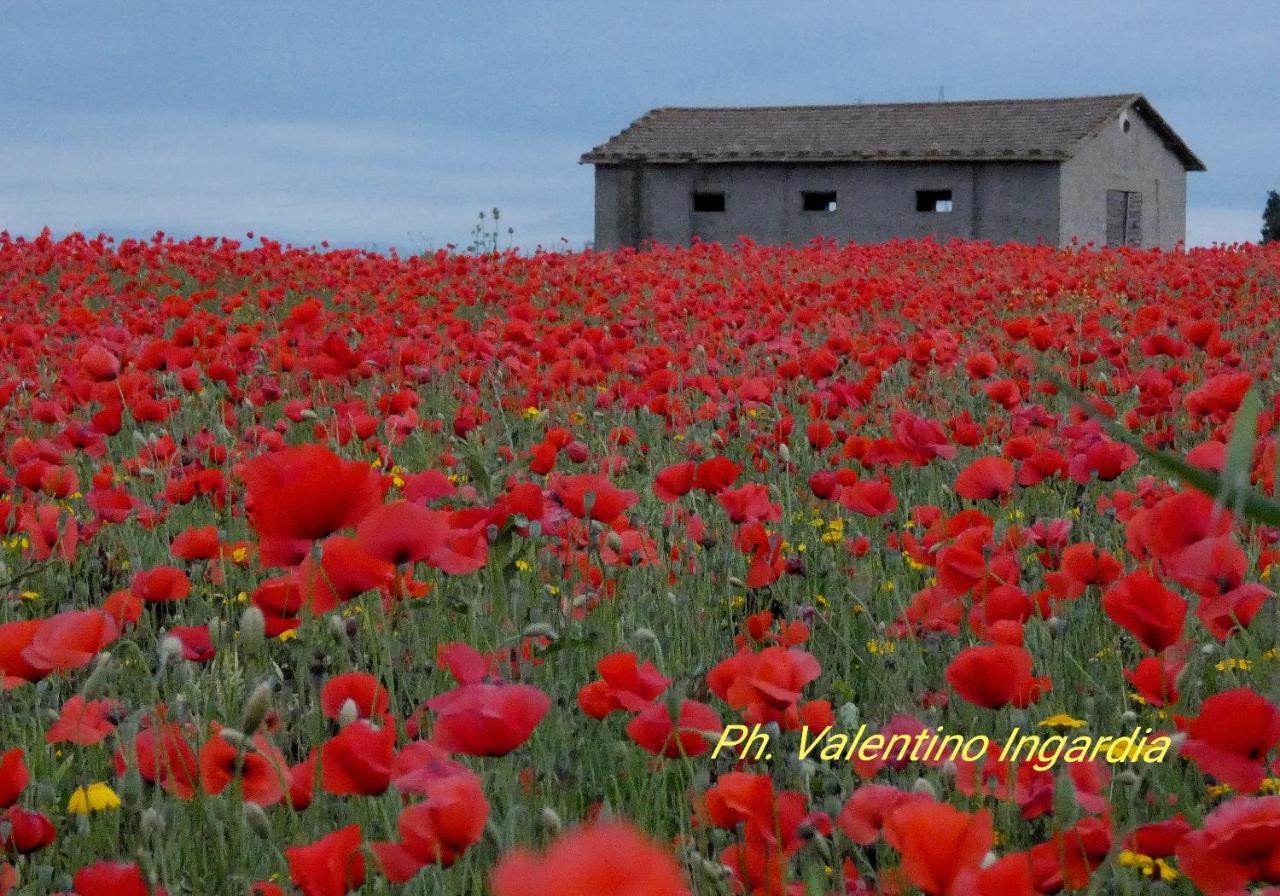 Appartamento Funai Trapani Exterior photo